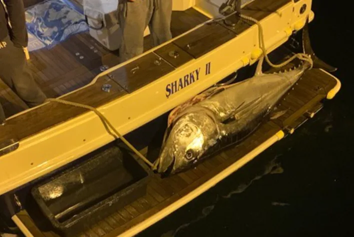 Apartmani-Bego-Experiences-Fishing-14