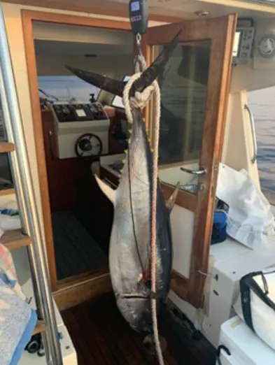 Apartmani-Bego-Experiences-Fishing-2