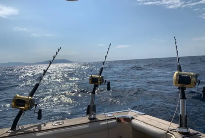 Apartmani-Bego-Experiences-Fishing-8