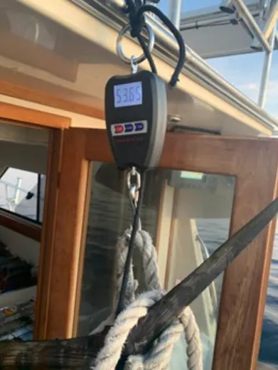 Apartmani-Bego-Experiences-Fishing